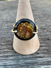 Load image into Gallery viewer, Twisted Tree size 7