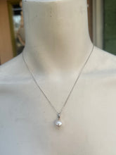 Load image into Gallery viewer, The Nash