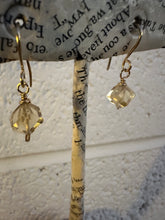 Load image into Gallery viewer, The Zola