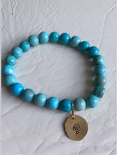 Load image into Gallery viewer, Turquoise magnesite with saguaro stamp