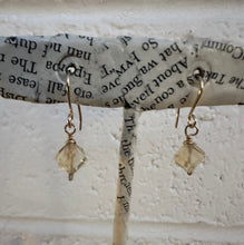 Load image into Gallery viewer, The Zola