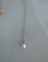 Load image into Gallery viewer, The Nash