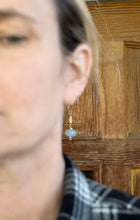 Load image into Gallery viewer, Seascape earrings