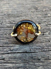 Load image into Gallery viewer, Twisted Tree size 7